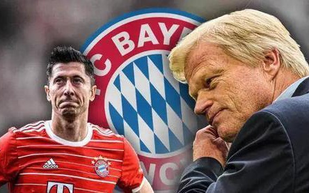 球迷可能会 球迷可能会