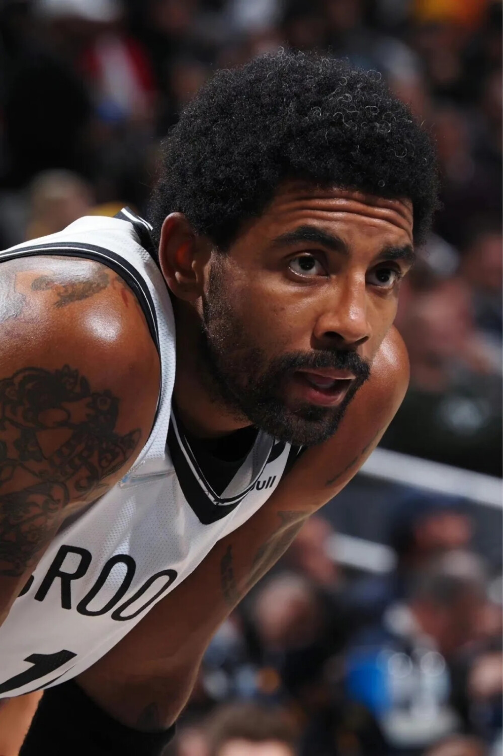 一属于意大 一属于意大