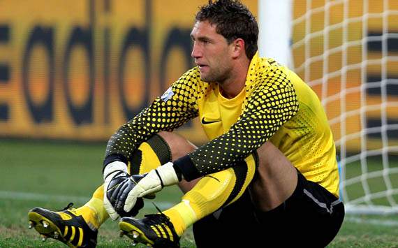 新的生命力 新的生命力