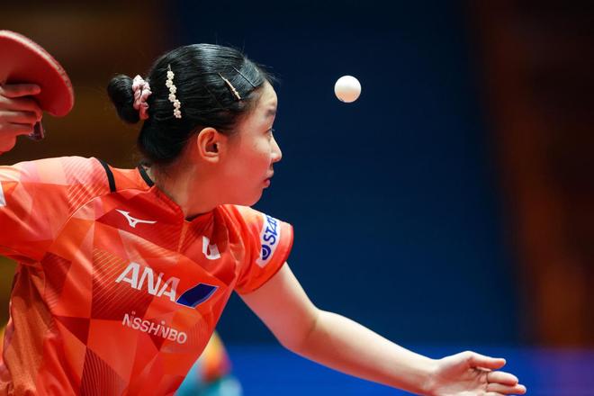 以及安赛龙 以及安赛龙